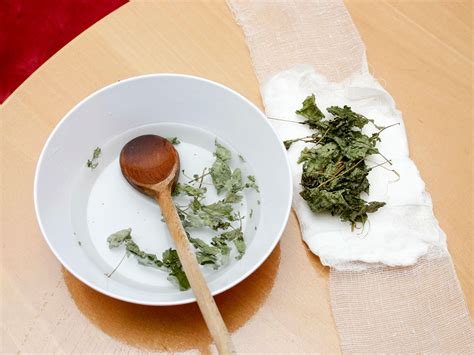 How To Create A Poultice 15 Steps With Pictures Wikihow