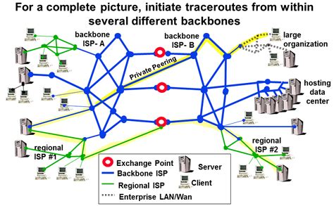 The spine anatomy is a complex structure. Traceroute Overview