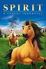 Spirit: Stallion of the Cimarron Movie Synopsis, Summary, Plot & Film ...
