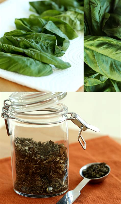 Dried Basil Is A Must Have In Every Kitchen Its The Perfect Garnish