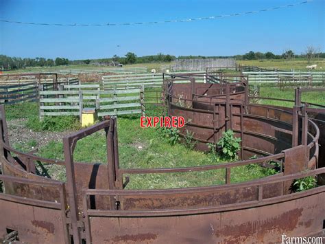Cattle Ranch For Sale Toutes Aides Manitoba