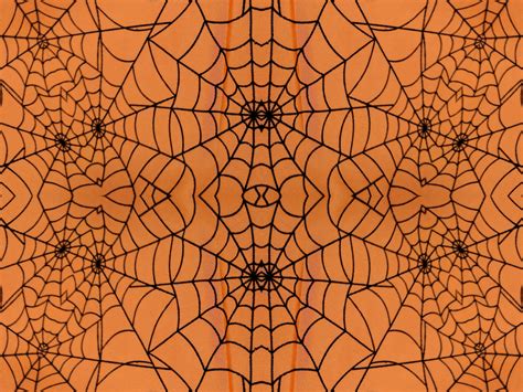 Download spider web background images and photos. Spider Web Background Free Stock Photo - Public Domain ...