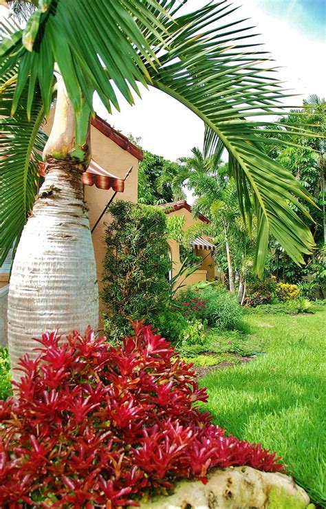 Tropical Landscape Design Tropical Landscape Miami By Knoll