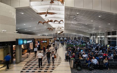 Tampa Airport To Reach Higher Revenues More Passengers In 2024 St