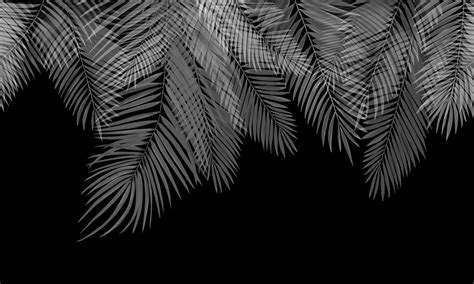 Hanging Palm Leaves Black White Lovely Wall Mural Photowall