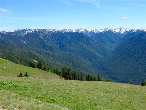 1.360.565.3131 find us at hurricaneridge.com www.hurricaneridge.com. Winds of Destiny - RVLife: Hurricane Ridge, Olympic NP, 6/30/2016