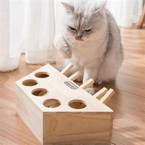 Wooden Cat Whack A Mole Toy In 2020 Homemade Cat Toys Wooden Cat
