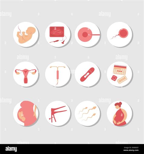 Motherhood Set Woman Fertility Icon Set Obstetrics Signs Collection