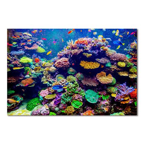 1 Panel Unframed Underwater Sea Fish Coral Reefs Canvas Print Wall Art