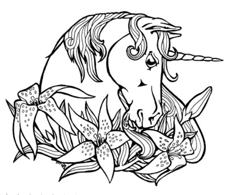 Print And Download Unicorn Coloring Pages For Children