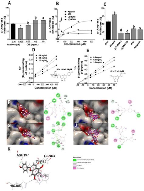 Inhibition Of Human α Amylase Activity By Che And Component