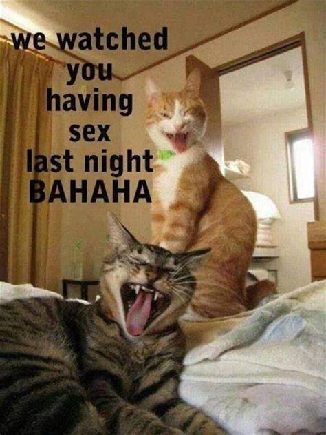 Funny Animal Pictures Of The Day 28 Pics
