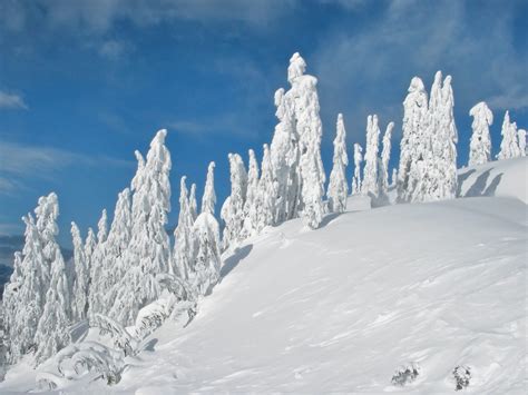 In nederland en belgië valt gemiddeld op ongeveer 30 dagen per jaar sneeuw, maar er gaan jaren voorbij zonder sneeuwval van betekenis. Mooie Sneeuw Achtergronden | HD Wallpapers