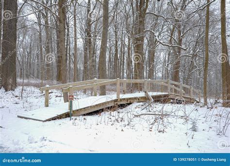 Bridges Over Winter River With Snow Covered Woods And Trees Stock Image