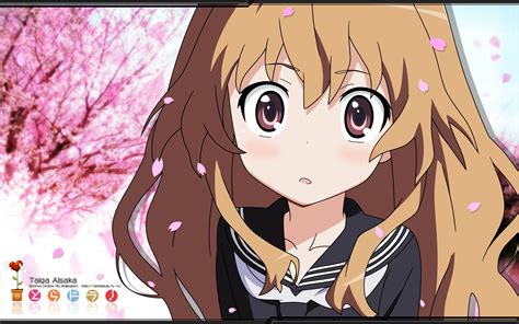 Toradora Hd Wallpaper Background Image 1920x1200 Id129607 Wallpaper Abyss