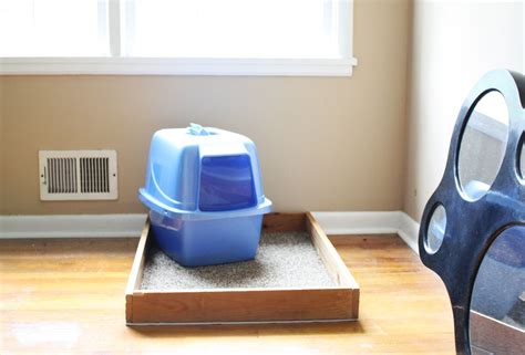 You can construct your very own hidden litter box repository with a little patience and elbow grease. Make your own Litter Box Holder! | Litter box, Diy stuffed ...