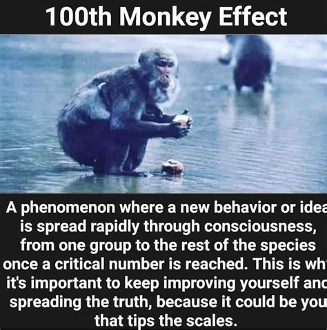 100th Monkey Effect Gme