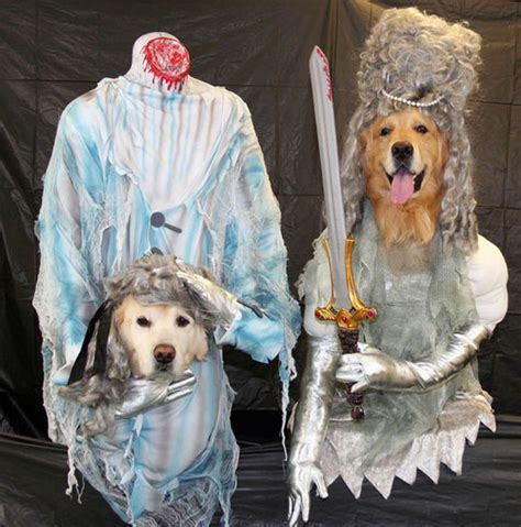 Los Mejores Disfraces De Halloween ¡para Perritos Fotogalería