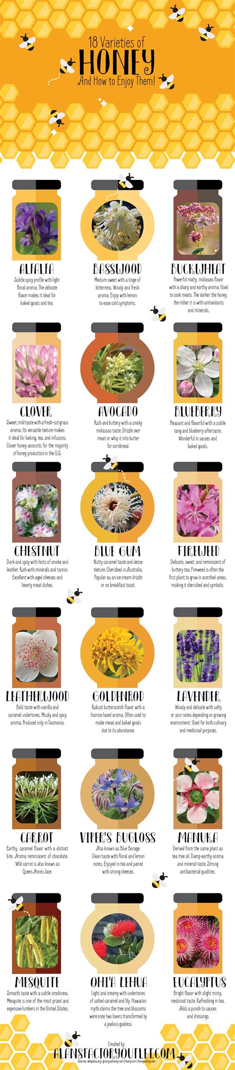 18 Honey Varieties From Around The World Infographic