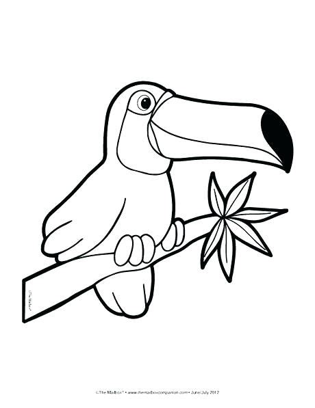 Jungle coloring pages can help teach your children which animals live in the jungle. Jungle Coloring Pages For Preschoolers at GetColorings.com ...