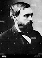 JOHN DILLON (1851-1927) Irish politician, about 1890 Stock Photo - Alamy