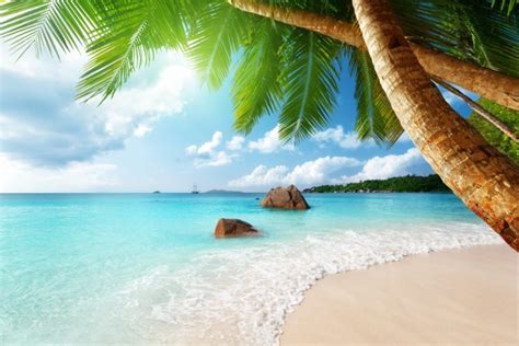 Paradise Ocean Tropical Blue Palm Beach Coast Sea Emerald