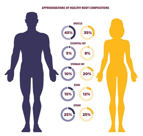 Optimal Body Fat And Body Composition For Military Fitness Hprc