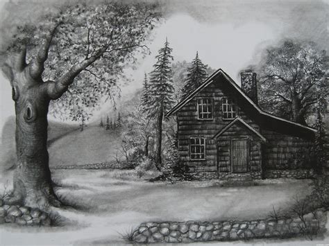 Scenery Pencil Flower Garden Drawing Lubie Jak