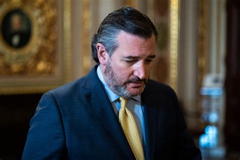 When Is Ted Cruz Up For Reelection In The Senate