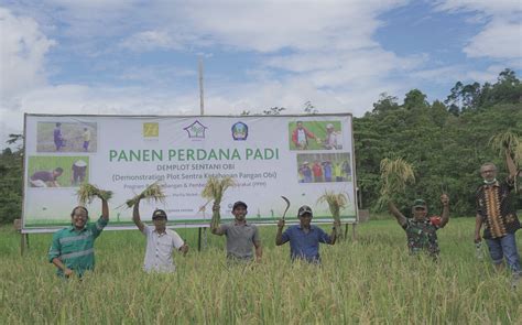 Harita Nickel Wujudkan Ketahanan Pangan Pulau Obi Melalui Program Sentani Halmahera Raya