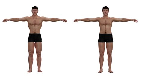 Ideal To Real What The Perfect Body Really Looks Like For Men And
