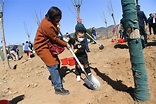 首都逾百家愛心單位人士，在京郊春天里植樹和義診 - 新浪香港