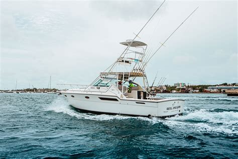 Reel Dreams – Reel Dreams