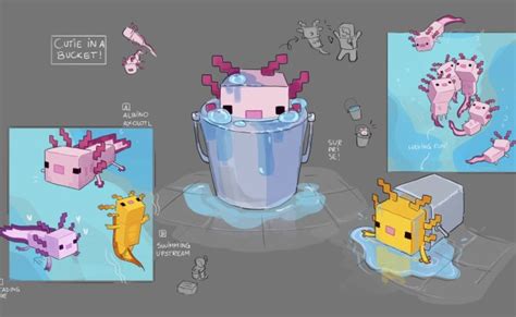 Minecraft Concept Art For The New Axolotls Otosection