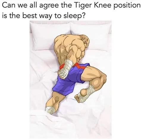 The Best Position To Sleep In Rstreetfighter