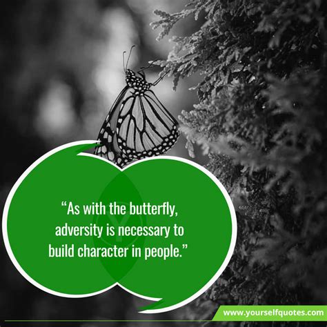 55 Quotes About Butterfly Quotes For Butterfly My Blog