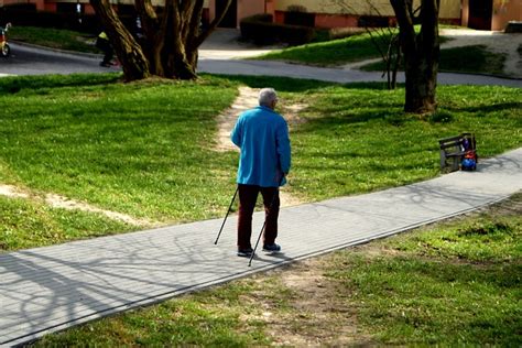 Best Nordic Walking Sticks For Seniors