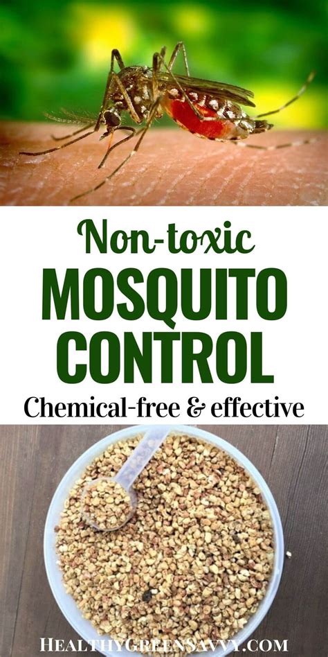 This Easy Non Toxic Product Keeps Your Yard Mosquito Free All Season