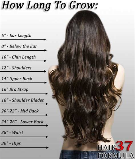 Hair Growth Calculator How To Make Your Hair Grow Faster Hair Chart