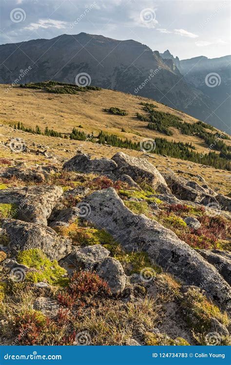 Trail Ridge Tundra Stock Image Image Of Forest Colorful 124734783