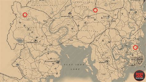 Red Dead Redemption 2 Bull Locations Map