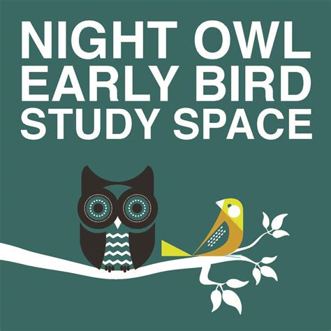 Night Owlearly Bird Study Space News