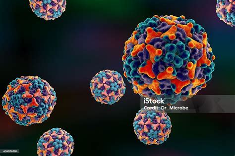Foto De Coxsackievirus Um Vírus Que Causa Infecções Respiratórias Entéricas E Cerebrais E Mais