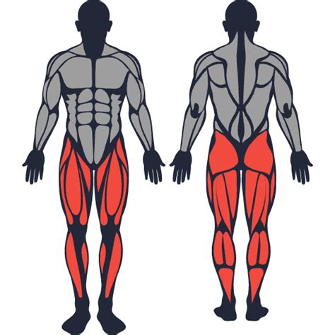 The 10 Best Leg Exercises For Muscle And Strength Strengthlog