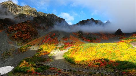Nature Landscape Trees Forest Fall Colorful Mountain Hill Mist Clouds Sunlight Snow