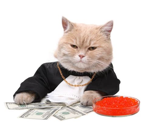 Red Cat Sitting On The Dollar Stock Photo Image Of Business Kitten