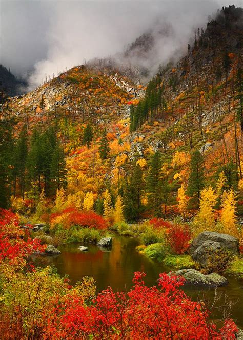 Fall Color In Tumwater Canyon Wa Randalljhodges Colour My World