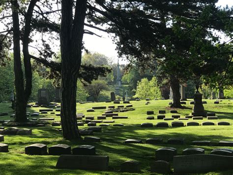 Morning At Lakeview Cemetery Rcleveland