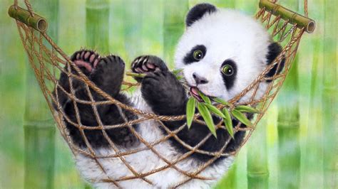 Cute Panda Desktop Wallpapers Top Free Cute Panda Desktop Backgrounds