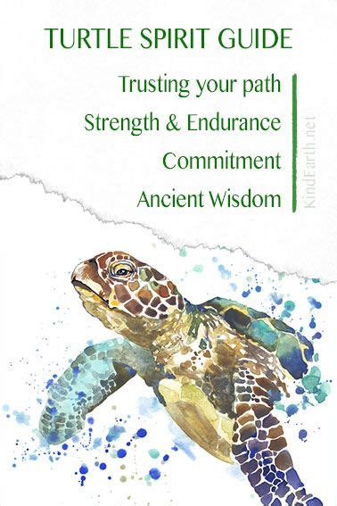 The Turtle Spirit Guide Is Shown In This Book